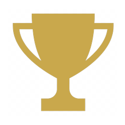 Tournament trophy icon